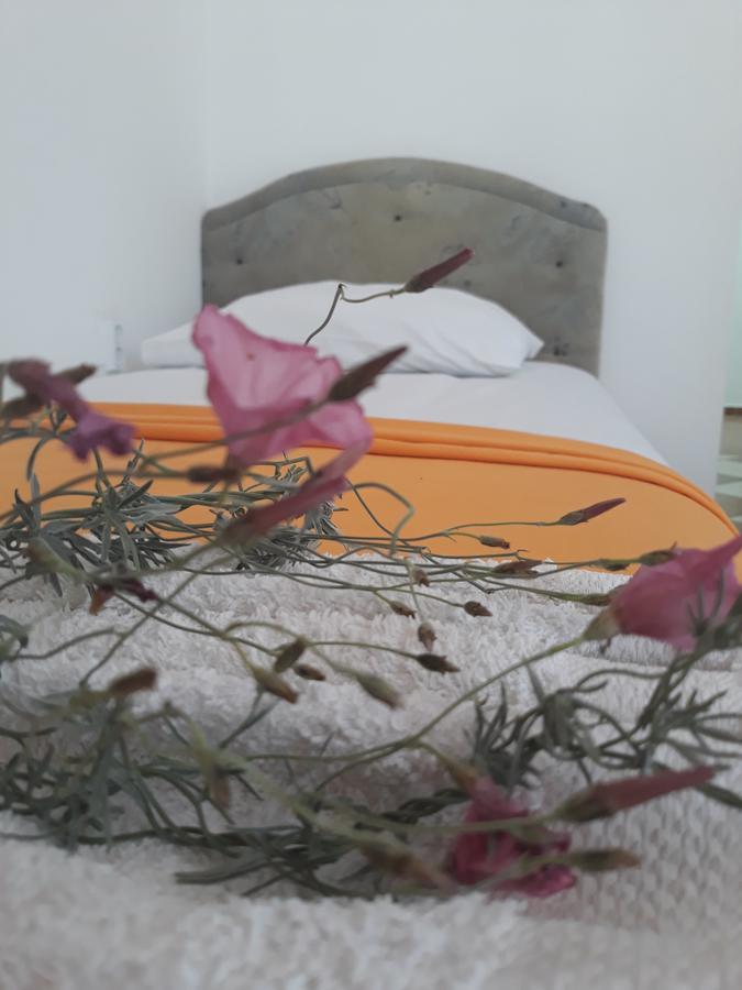 Apartments Aza Dobra Voda Eksteriør billede